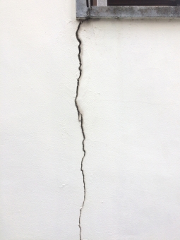 赤いダニが洗濯物に 刺されると害はあるの のむねるたべる 赤いダニが洗濯物に 刺されると害はあるの のむねるたべる